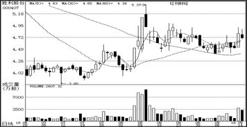 軟件開(kāi)發(fā)在公司研究中的關(guān)鍵作用及實(shí)施策略